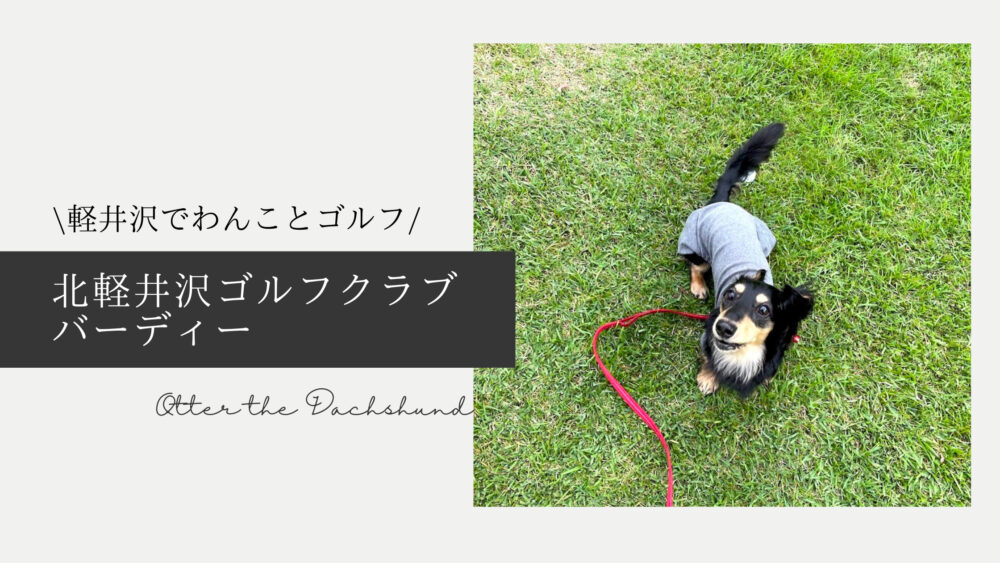 Blog Banner ブログ記事バナー 【軽井沢】わんことショートゴルフをプレイできる！北軽井沢ゴルフクラブ　バーディー